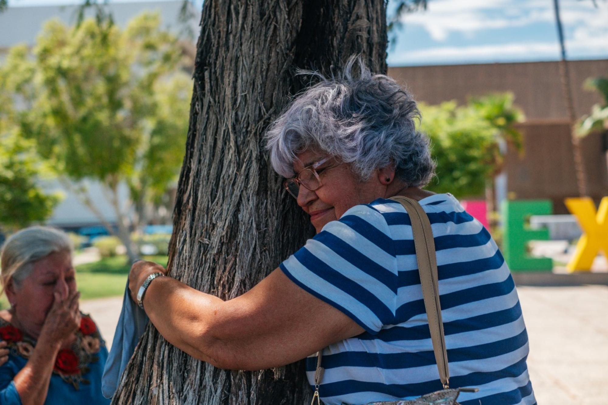 El bosque de la Esperanza 6
